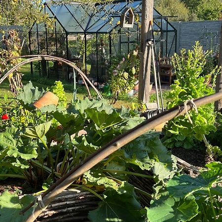Orchardhouse Farmhouse, Wellness Chrast  Dış mekan fotoğraf