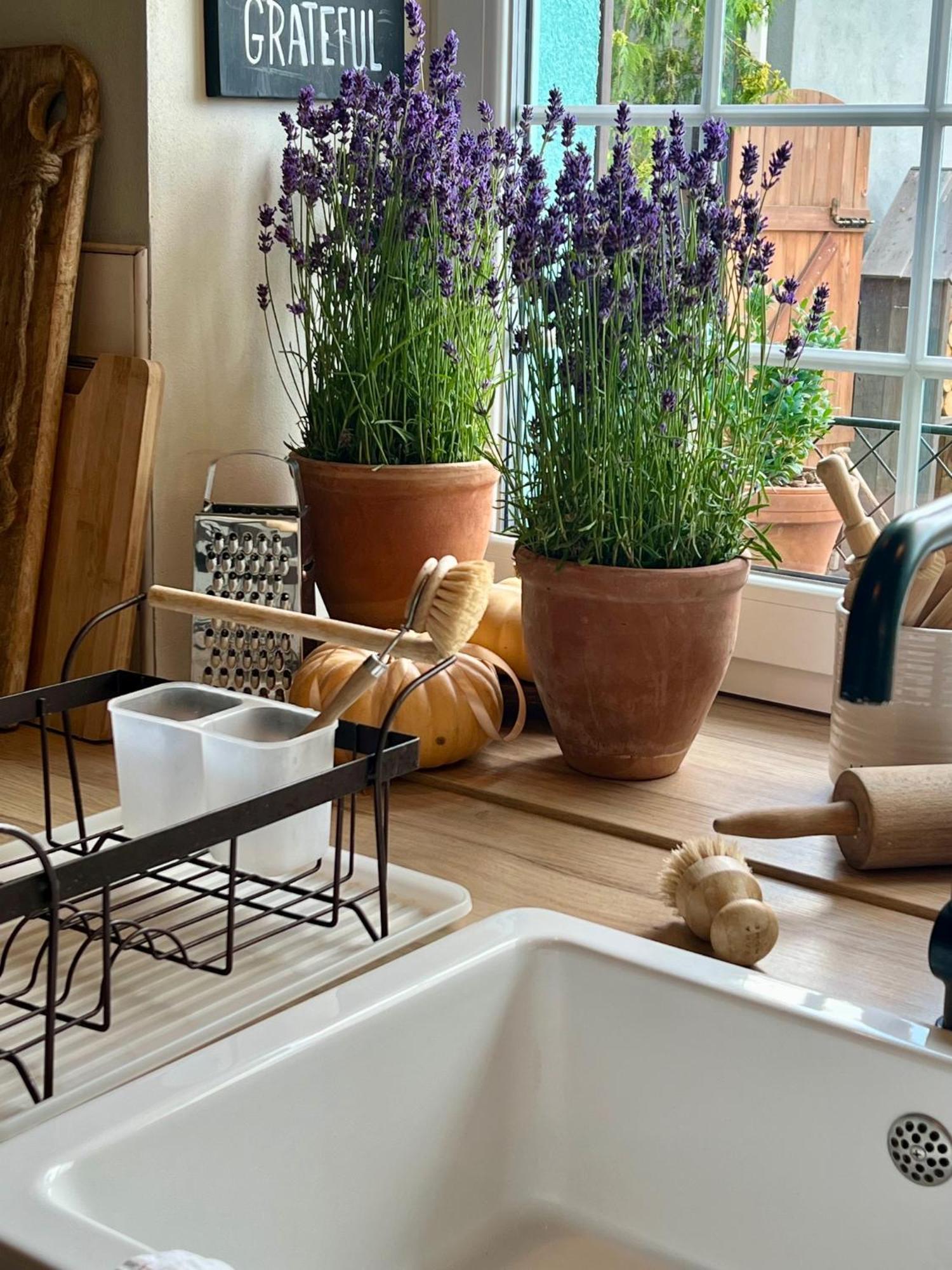 Orchardhouse Farmhouse, Wellness Chrast  Dış mekan fotoğraf