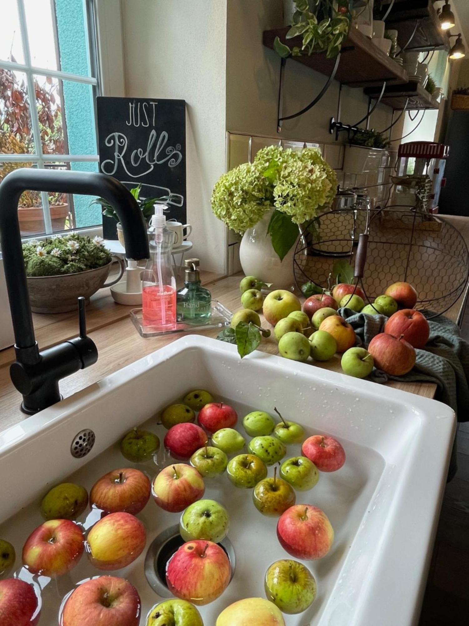 Orchardhouse Farmhouse, Wellness Chrast  Dış mekan fotoğraf